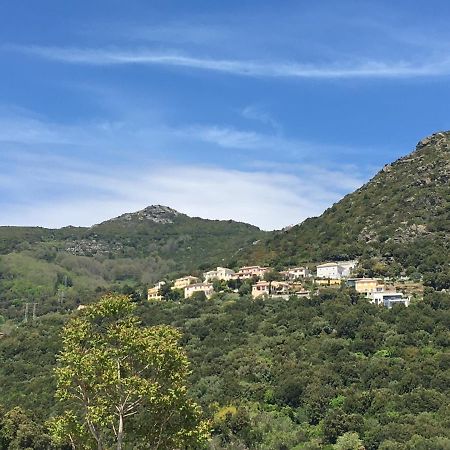 Charmant T2 Hauteurs De Bastia Μπαστιά Εξωτερικό φωτογραφία