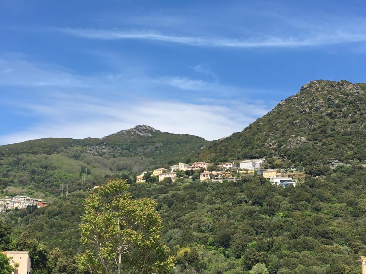 Charmant T2 Hauteurs De Bastia Μπαστιά Εξωτερικό φωτογραφία